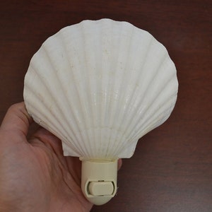 Scallop Sea SHELL Nautical Beach Decor NIGHTLIGHT S7-348 image 2