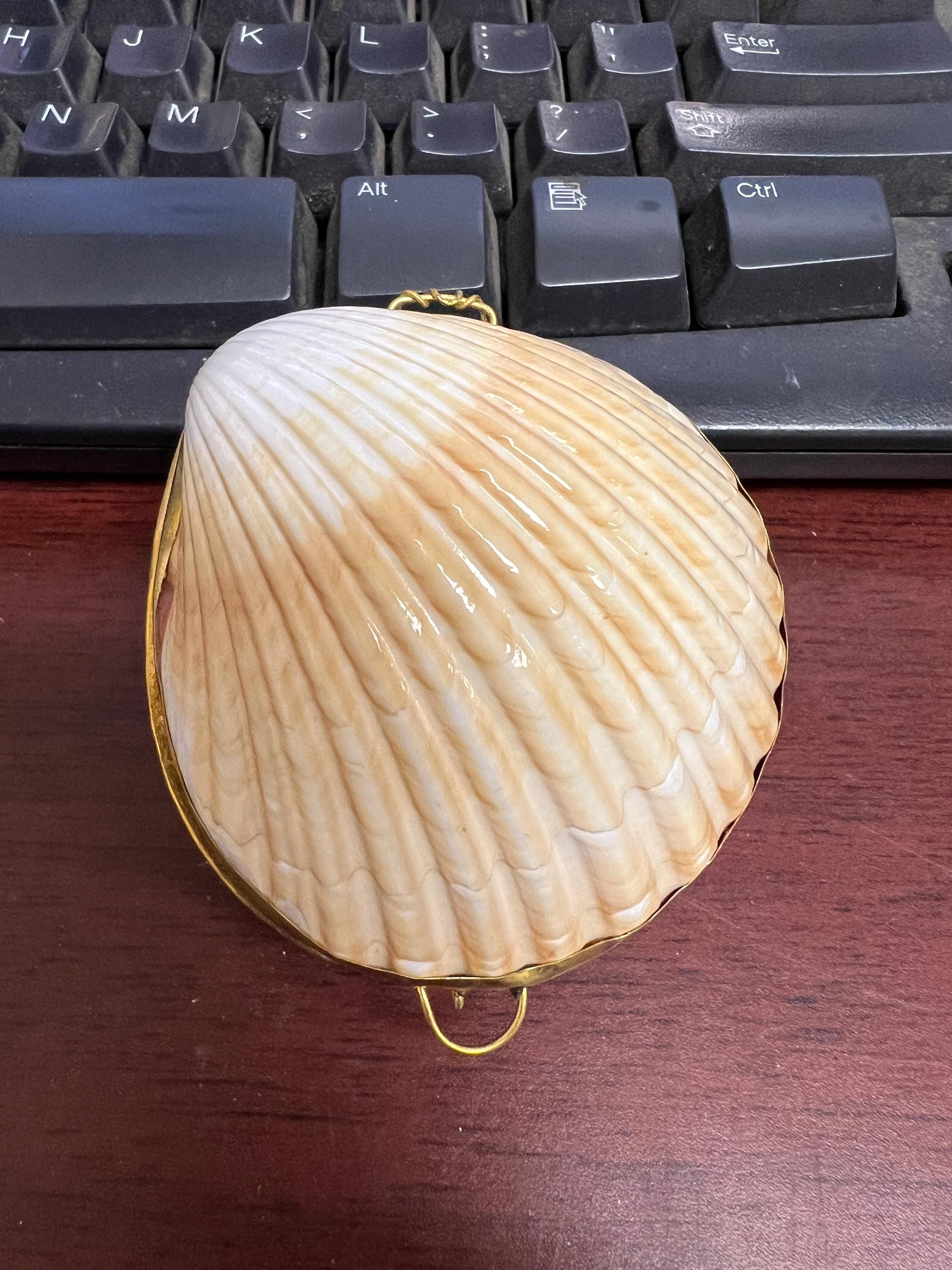 Yellow Mexican Cup Clam Shell Coin Trinket Purse - Etsy