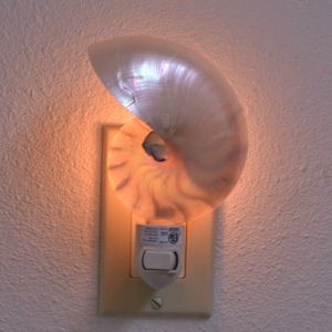White Nautilus Sea SHELL Nautical Beach Decor NIGHTLIGHT