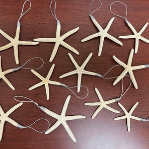 12 Pcs White Pencil Starfish Beach Sea Shell Ornament