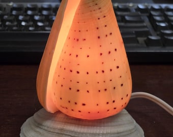 Cone Conus Sea SHELL Nautical Beach Decor NIGHTLIGHT LAMP