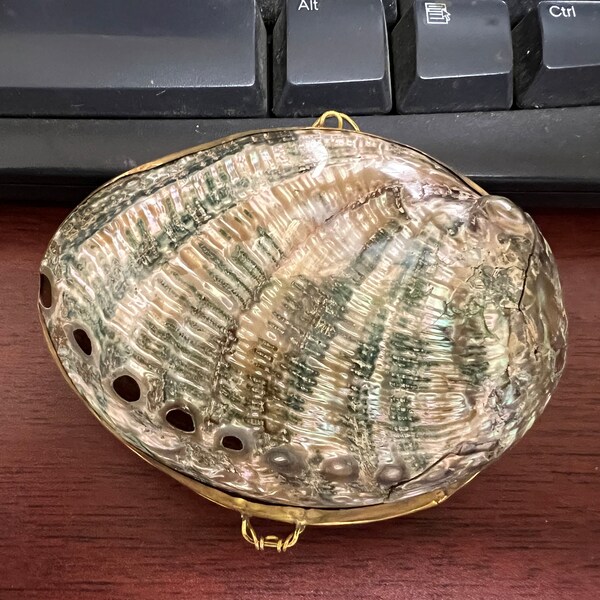 Shell Coin Purse Etsy