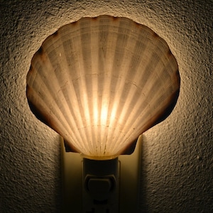 Scallop Sea SHELL Nautical Beach Decor NIGHTLIGHT