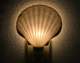 Scallop Sea SHELL Nautical Beach Decor NIGHTLIGHT S7-348