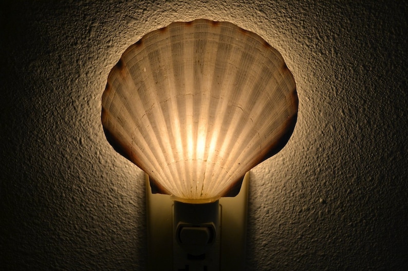 Scallop Sea SHELL Nautical Beach Decor NIGHTLIGHT S7-348 image 1