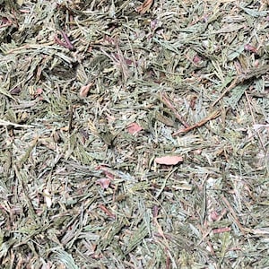 May include: A close-up of a pile of dried cedar needles, a natural material often used for crafts and aromatherapy.
