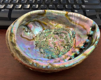 Very Large BLUE GREEN ABALONE Shell Smudging Spiritual Cleansing 6"