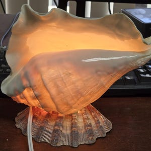 Conch SHELL Nautical Beach Decor NIGHTLIGHT LAMP