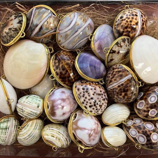 Shell Coin Purse Etsy