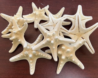 50 Pcs White Bleached Knobby Starfish Decorations Beach Ocean 3-5"
