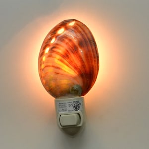 Red Abalone Sea SHELL Nautical Beach Decor NIGHTLIGHT