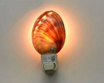 Red Abalone Sea SHELL Nautical Beach Decor NIGHTLIGHT