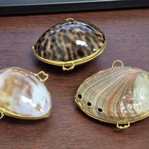 3 Pieces Assorted Clam Shell Coin Trinket Purse