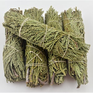 5 Pcs Cedar Stick Smudge Kit Spiritual Cleansing