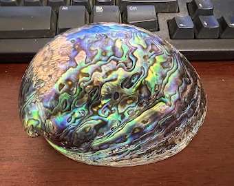 Very Large BLUE GREEN ABALONE Shell Smudge Kit Spiritual Cleansing 6"