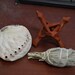 ABALONE Shell White SAGE With Stand Smudge Kit Spiritual Cleansing - Etsy