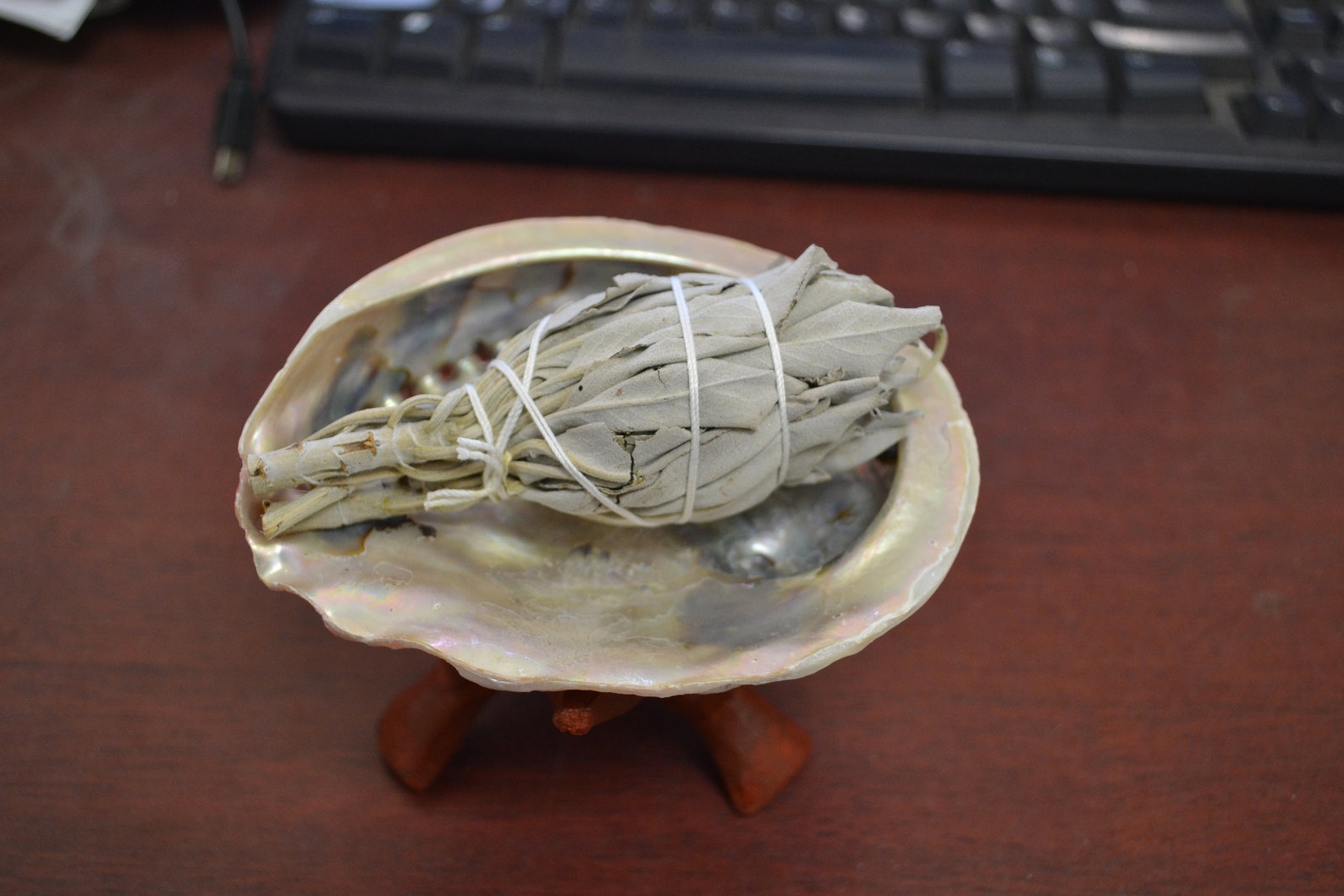 ABALONE Shell White SAGE With Stand Smudge Kit Spiritual Cleansing - Etsy