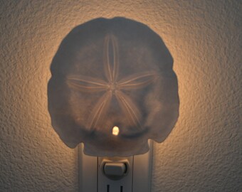 White Sand Dollar Sea SHELL Nautical Beach Decor NIGHTLIGHT 4" S7-620