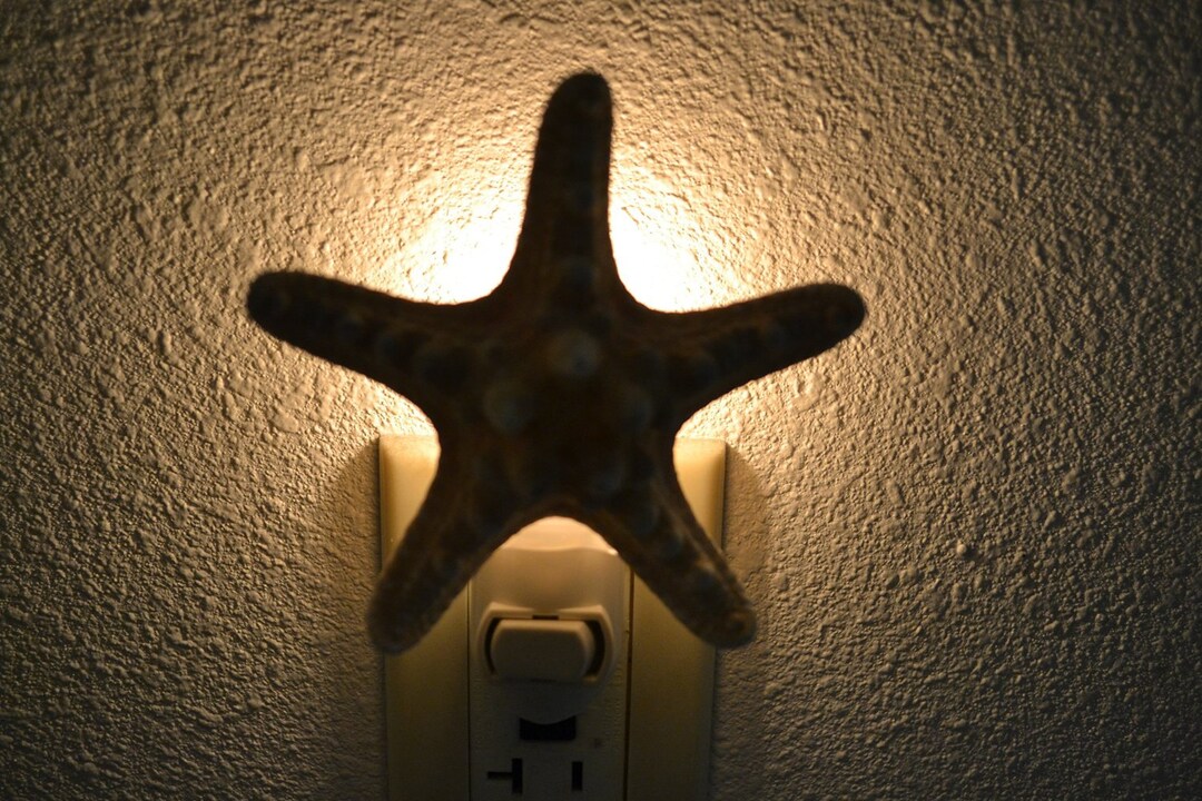 Natural Knobby Starfish Sea SHELL Nautical Beach Decor NIGHTLIGHT - Etsy