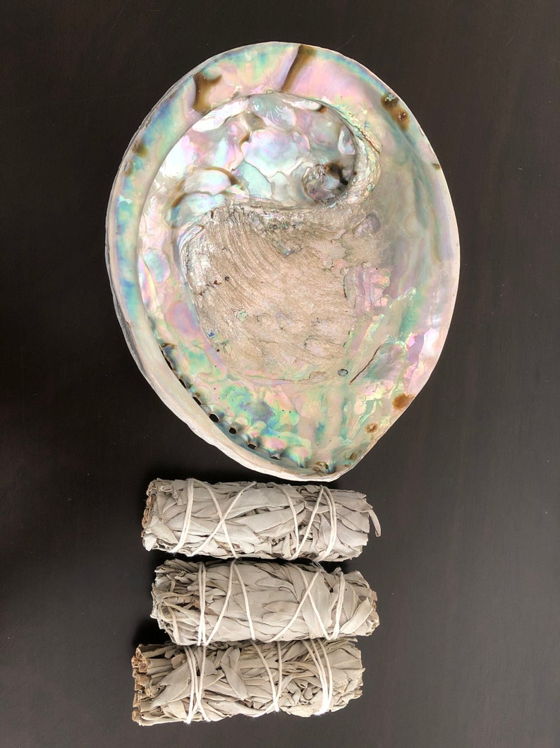 X-LARGE ABALONE Shell White SAGE Smudge Kit Spiritual - Etsy