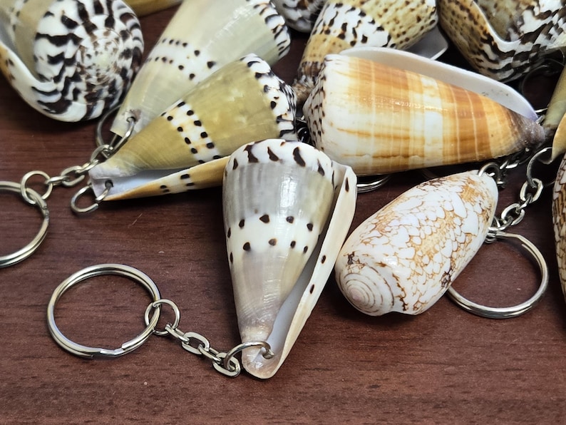 Shell Keychians 25 Pcs Conus CONE SHELL Nautical Decor Craft Keyring Keychain Hanging ...