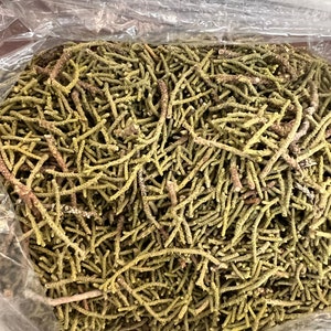 Bulk Loose Dried Juniper Leaves Incense Smudging Spirituality Cleansing 1 LB