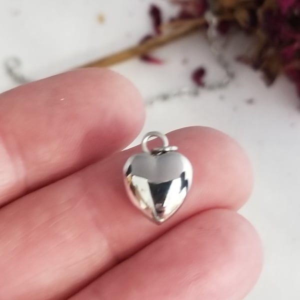 Cremation Ash Tiny Heart Urn, Stainless Keepsake Ash Holder Necklace, Hair, Flower, Sand Urn, Loss Of Loved One, Remembrance Tiny Urn