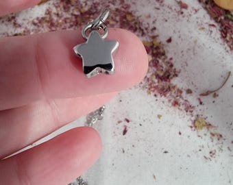 Tiny Star Cremation Ash Urn Charm, Stainless Keepsake Ash Holder Necklace, Hair, Flower, Sand Urn, Loss Of Loved One, Remembrance Tiny Urn