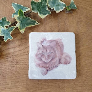 Ginger cat &#39;Ted&#39; Coaster