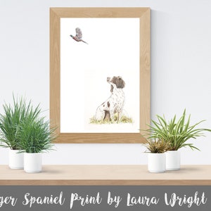 Liver and White Springer Spaniel Print