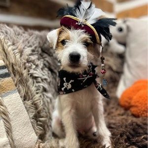 Jack Sparrow Mini Bead Strand: Pirate Costume Hair Accessory, choose from 4 styles, 6 attachments