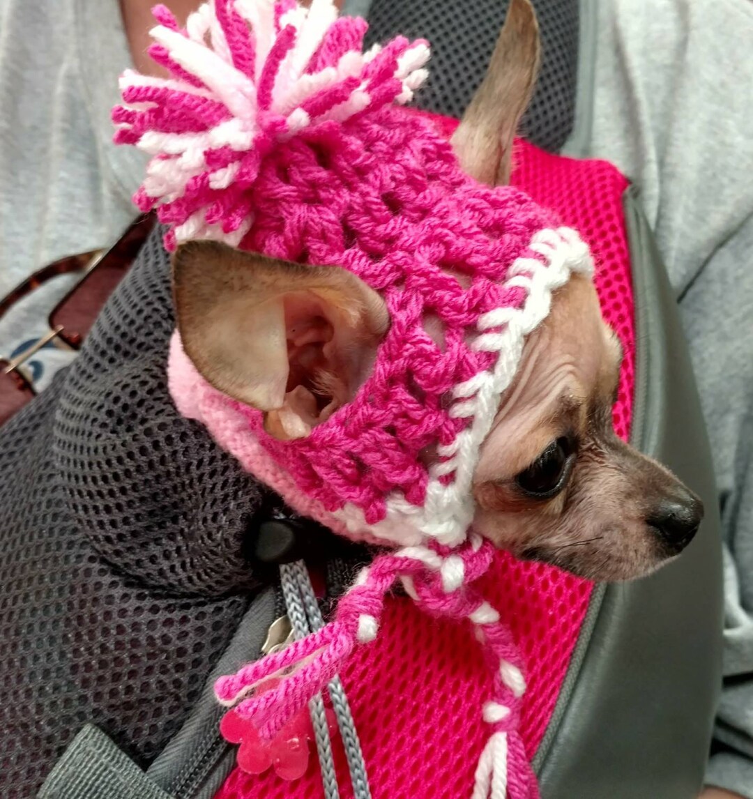 Hats for Dogs Dog Hats Dog Hat Pet Hat Dog Cloths Pet Cloths Etsy