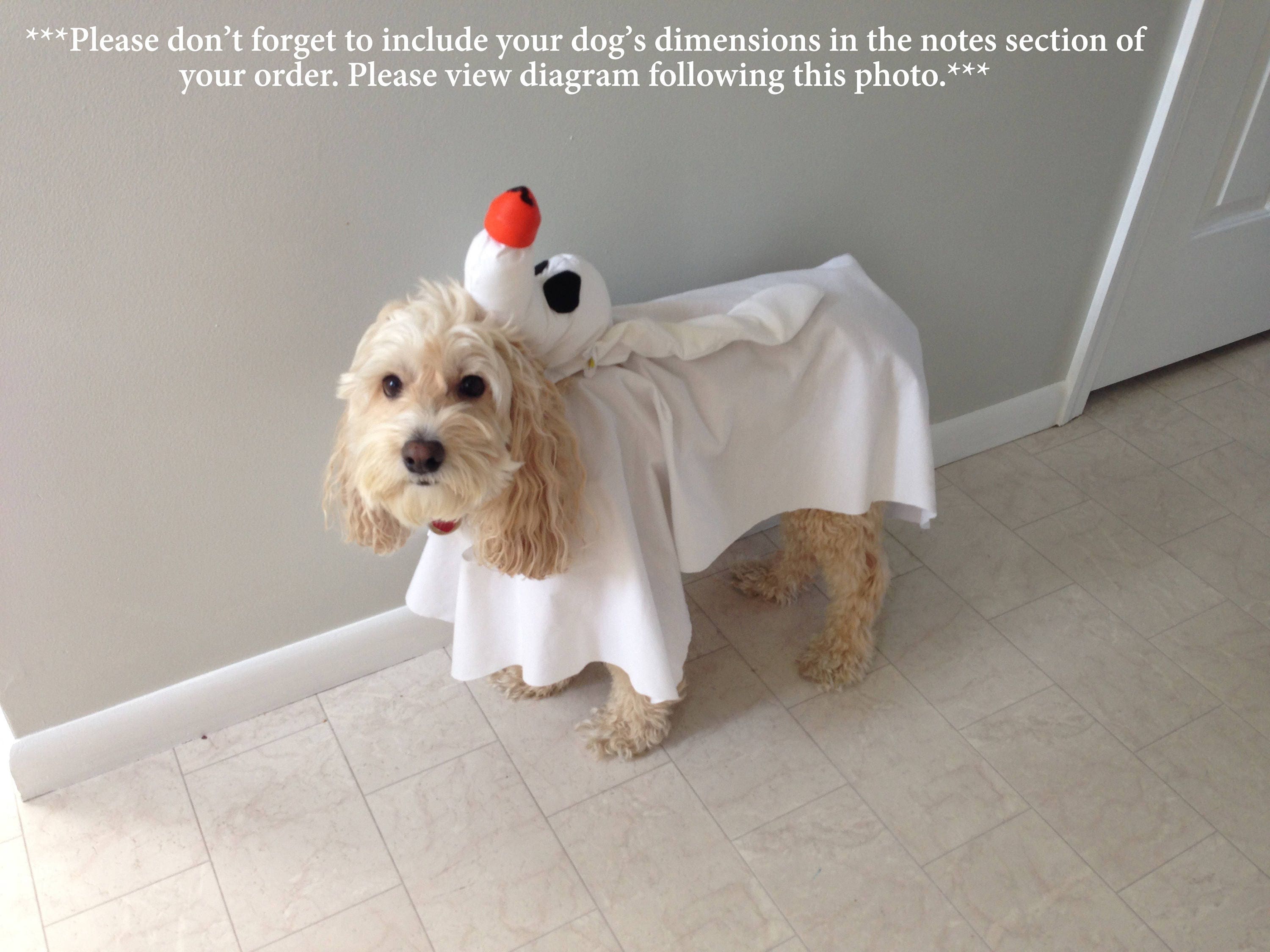 Zero Dog Costume