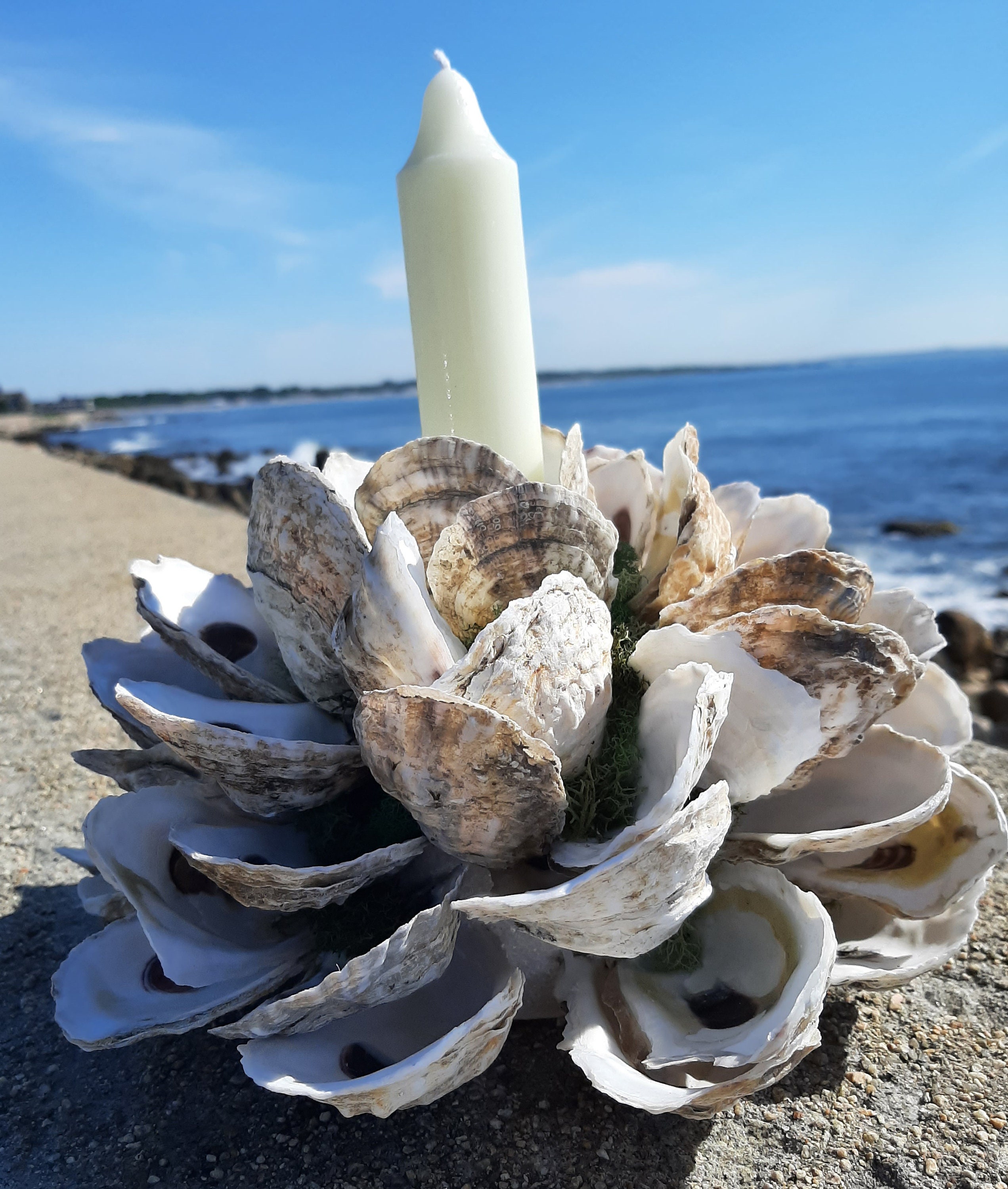 Oyster Shell Candle Holder Beach Decor OSH5 Etsy