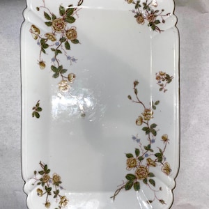 Vintage Mark & Gutherz Carlesbad Austria rectangular platter
