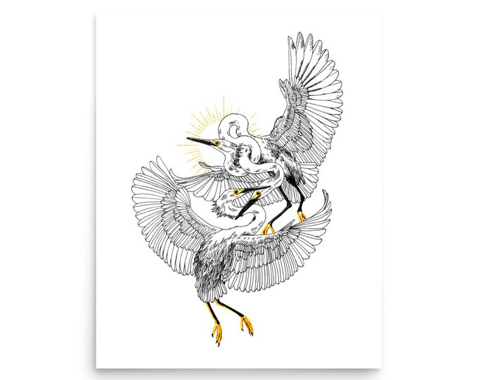 Entangled with Egrets