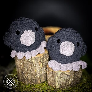 Miniature Crow/Raven Friends