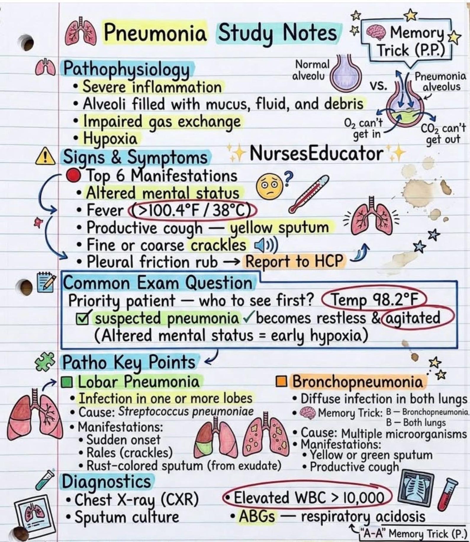 Pneumonia Study Guide NCLEX Cram Sheet - Etsy