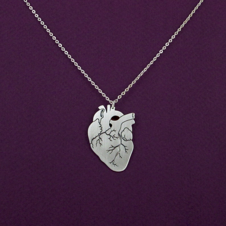Anatomical Heart Necklace Silver Anatomy Heart Pendant Etsy