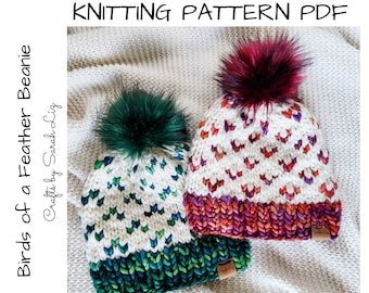 KNITTING PATTERN - Birds of a Feather Beanie, Chunky Knit Hat Pattern, Women's Knit Hat Pattern, Baby Knitting Pattern, Baby Hat Pattern