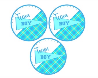 Team Boy - Team Girl Image Frosting Sheet  - You Choose Your Size -  s - Cupcake Toppers - Cookies - Gender Reveal