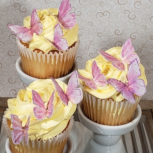 Edible Butterflies Made with Wafer Paper  (Item #B302)