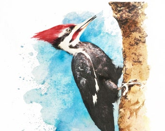 Pileated Woodpecker Giclee Print 8.5"x11". High quality, archival, textured watercolor paper and pigment inks. Wall Art.