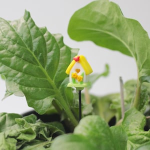 May include: A small white birdhouse with yellow accents and a red roof sits in a pot of green leafy plants.
