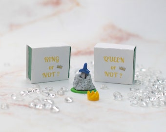 King Sword and Crown, Queen Miniature, King Decoration, Sword in Rock, Arthurian Legend, Fantasy Decoration, Fantasy Miniature