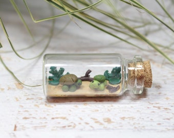 Turtle miniature in glass bottle, turtle in bottle, animal house decoration, gift nature decoration