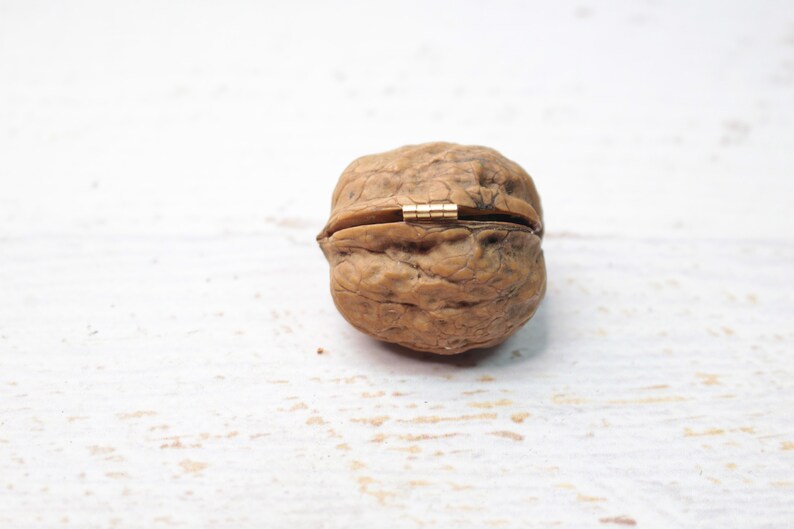 Bee miniature walnut, animal decoration, polymerclay forest animal, beehive, upcycling image 10