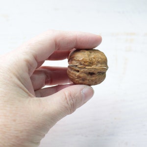 Bee miniature walnut, animal decoration, polymerclay forest animal, beehive, upcycling image 9