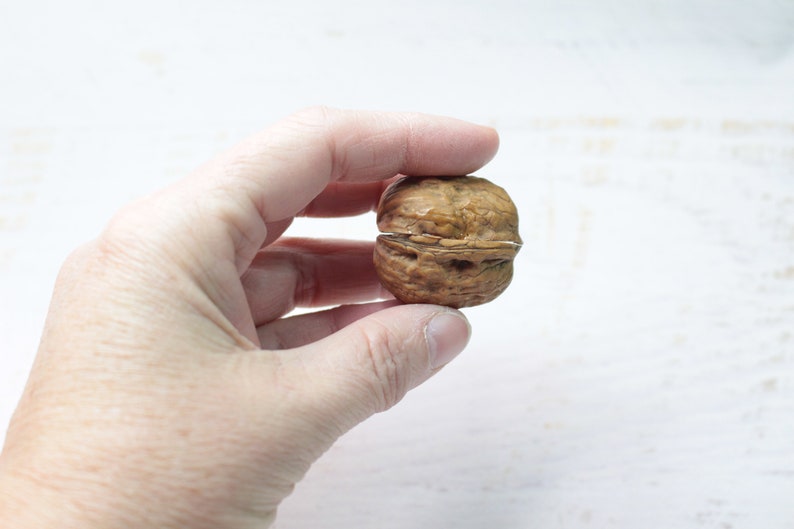 Bee miniature walnut, animal decoration, polymerclay forest animal, beehive, upcycling image 9