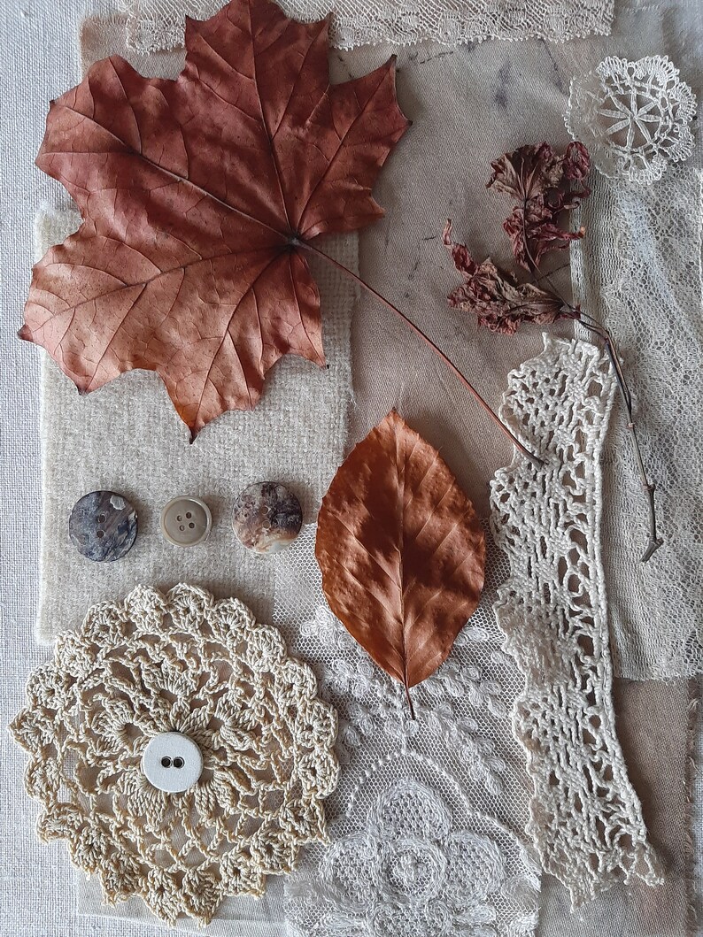 Once Upon A Time Maple Leaf The Botanical Collection